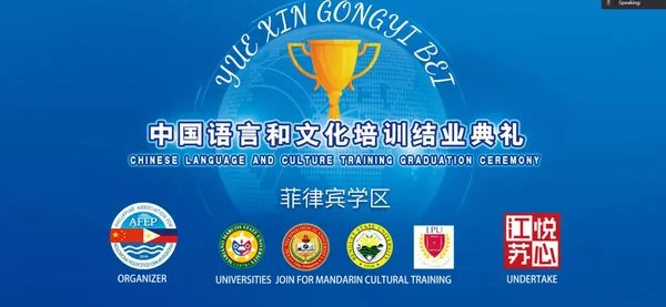 Virtual International Program