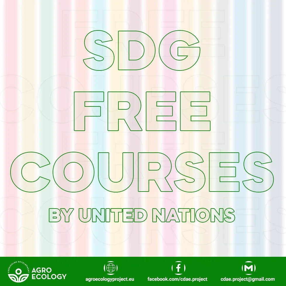 FREE Sustainability Courses from the United Nations