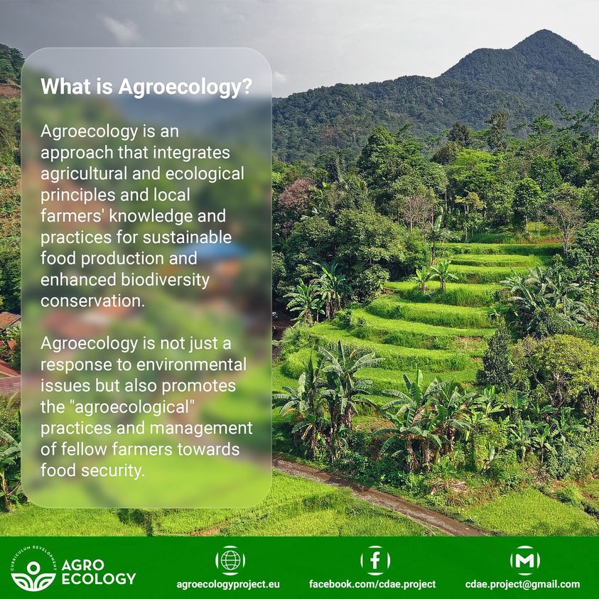 News and Events 291 Agroecology 101: Stay Tuned for the Building Blocks of Sustainable Agriculture