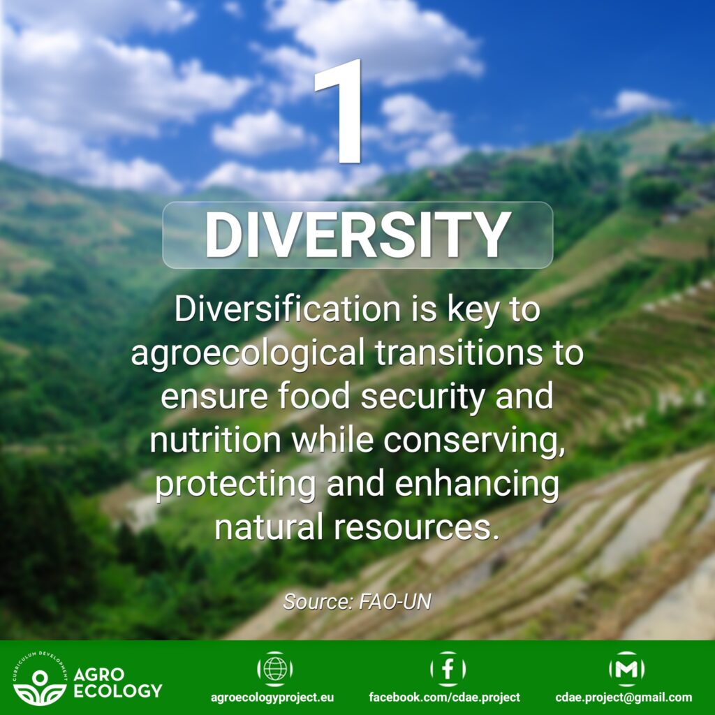 News and Events 289 The 10 Elements of Agroecology framework was developed by the FAO to help nations generate transformative change.