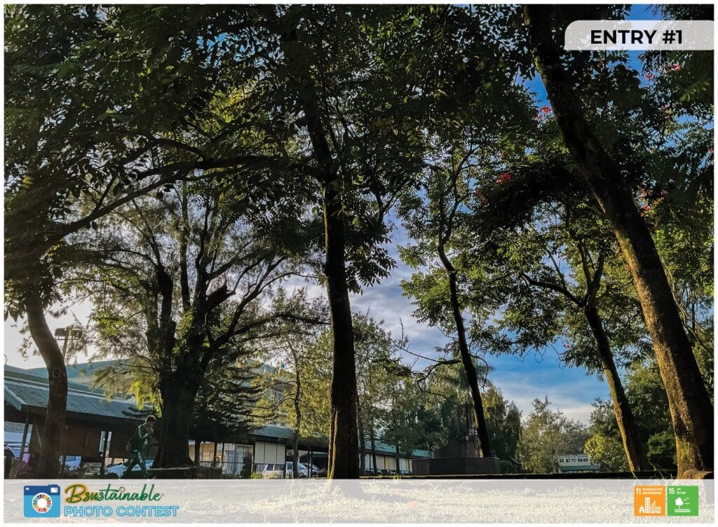 News and Events 156 BSUstainable Photography Contest 2024 – Congratulations to the Winners!