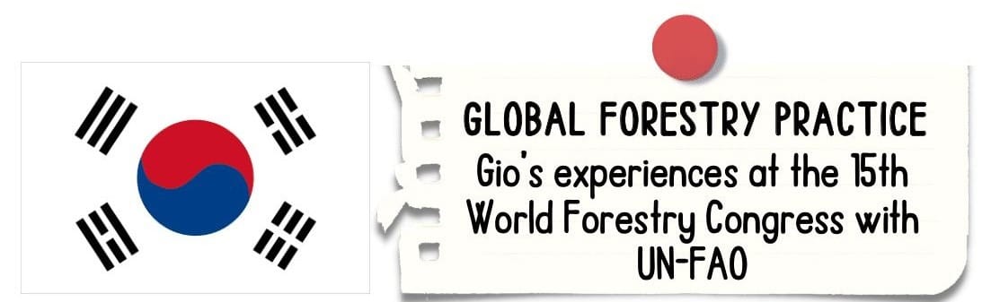 GLOBAL FORESTRY PRACTICE: Gio's experiences at the 15th World Forestry Congress with UN-FAO 120 103