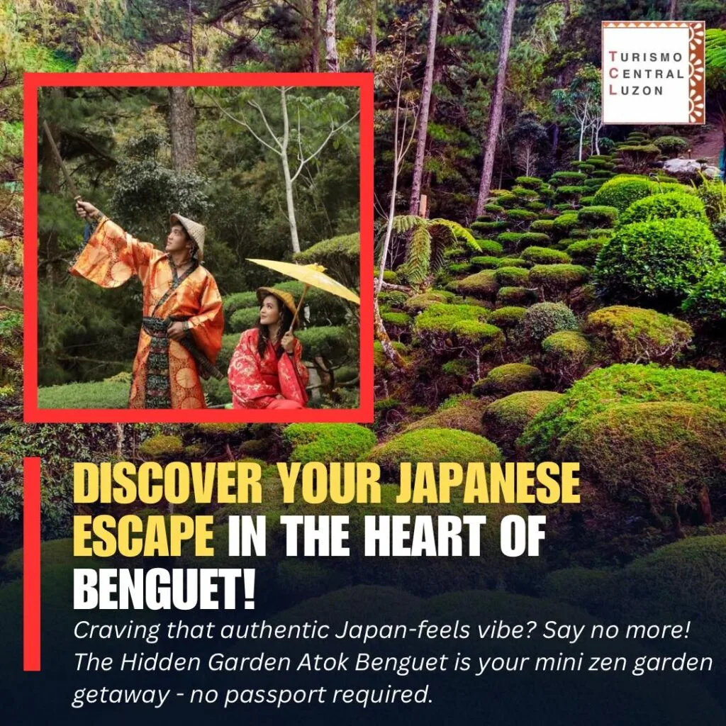 Discover Your Japanese Escape in the Heart of Benguet! 🌸