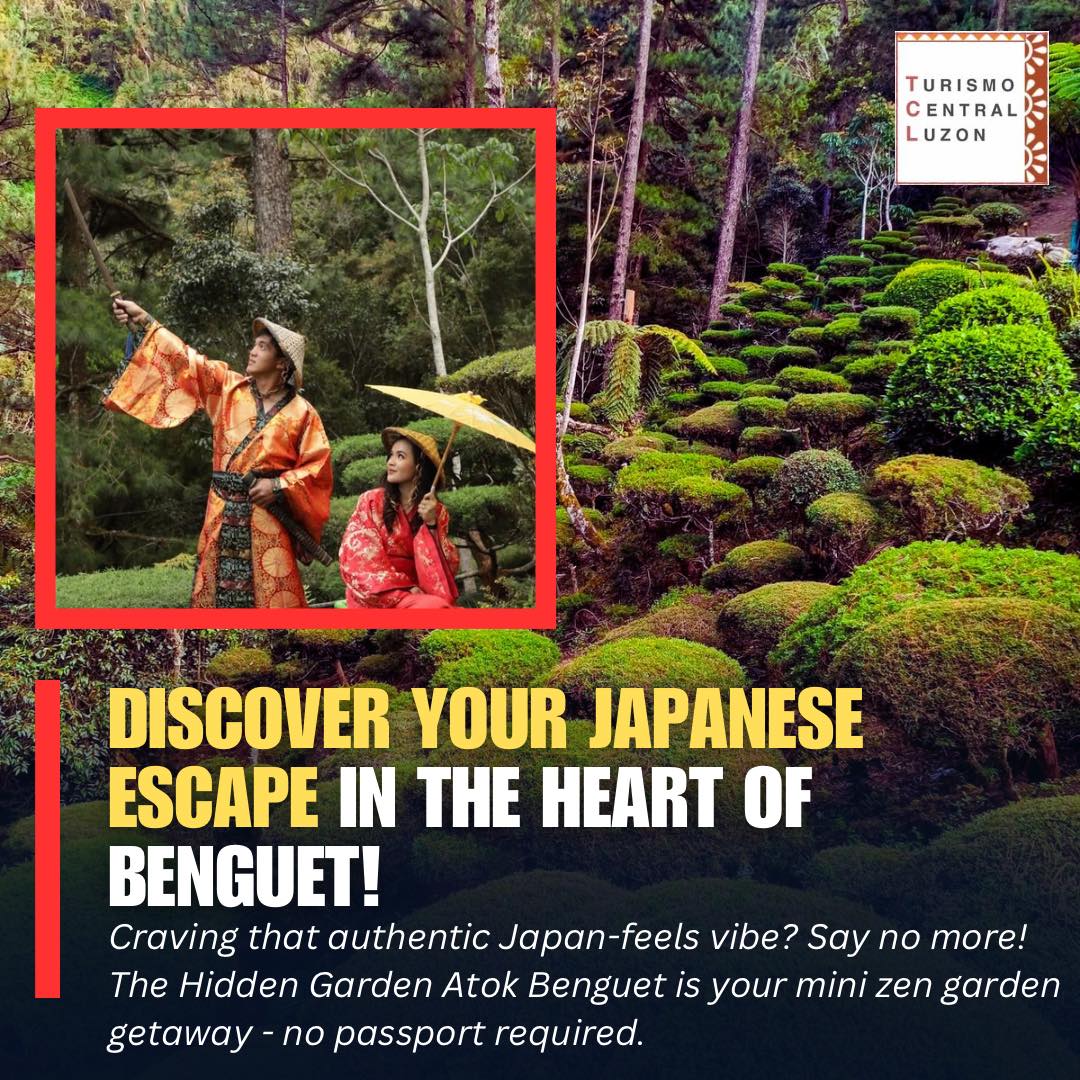 Discover Your Japanese Escape in the Heart of Benguet! 🌸