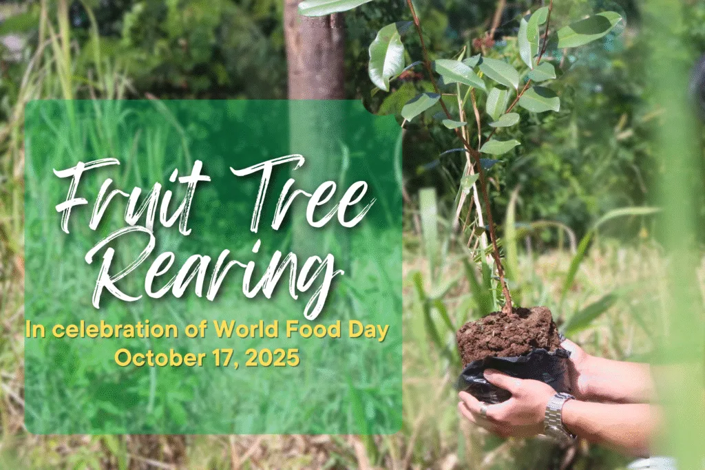 News and Events 49 Tree Planted! – Fruit Tree Rearing