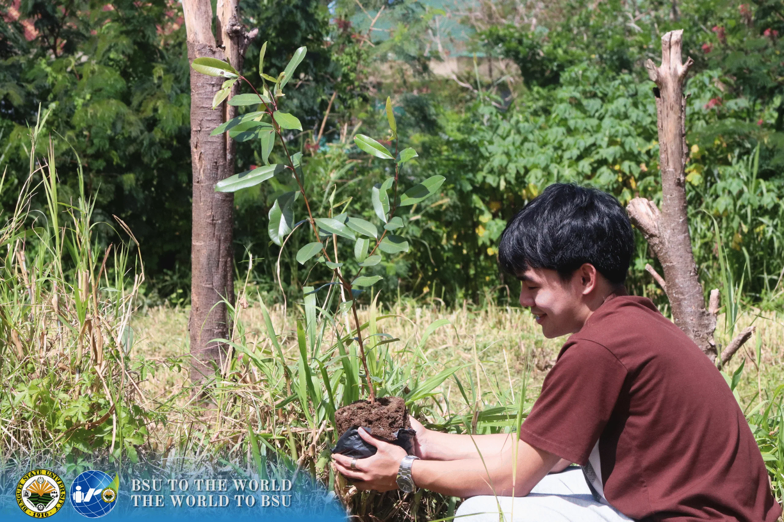 Tree Planted! - Fruit Tree Rearing 173 18 3 scaled