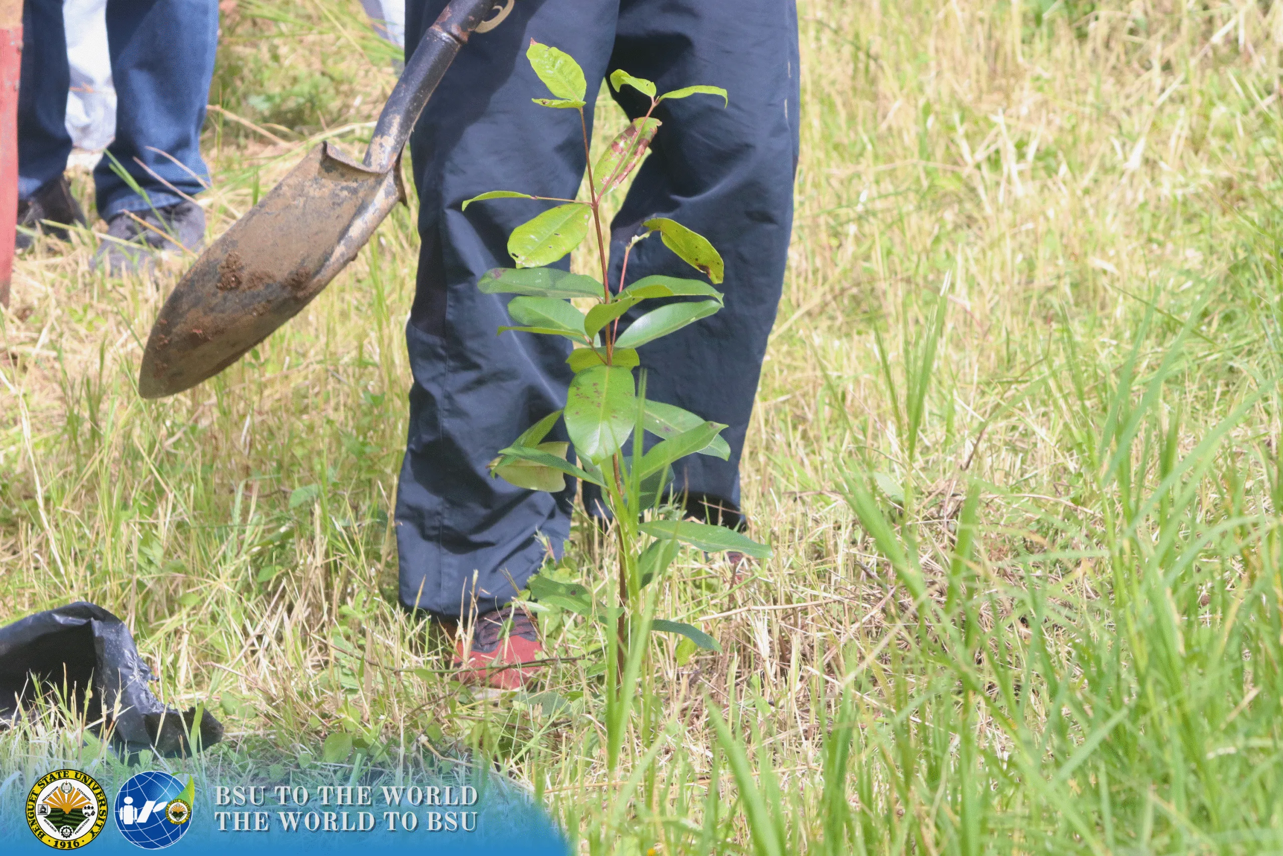 Tree Planted! - Fruit Tree Rearing 169 27 2 scaled