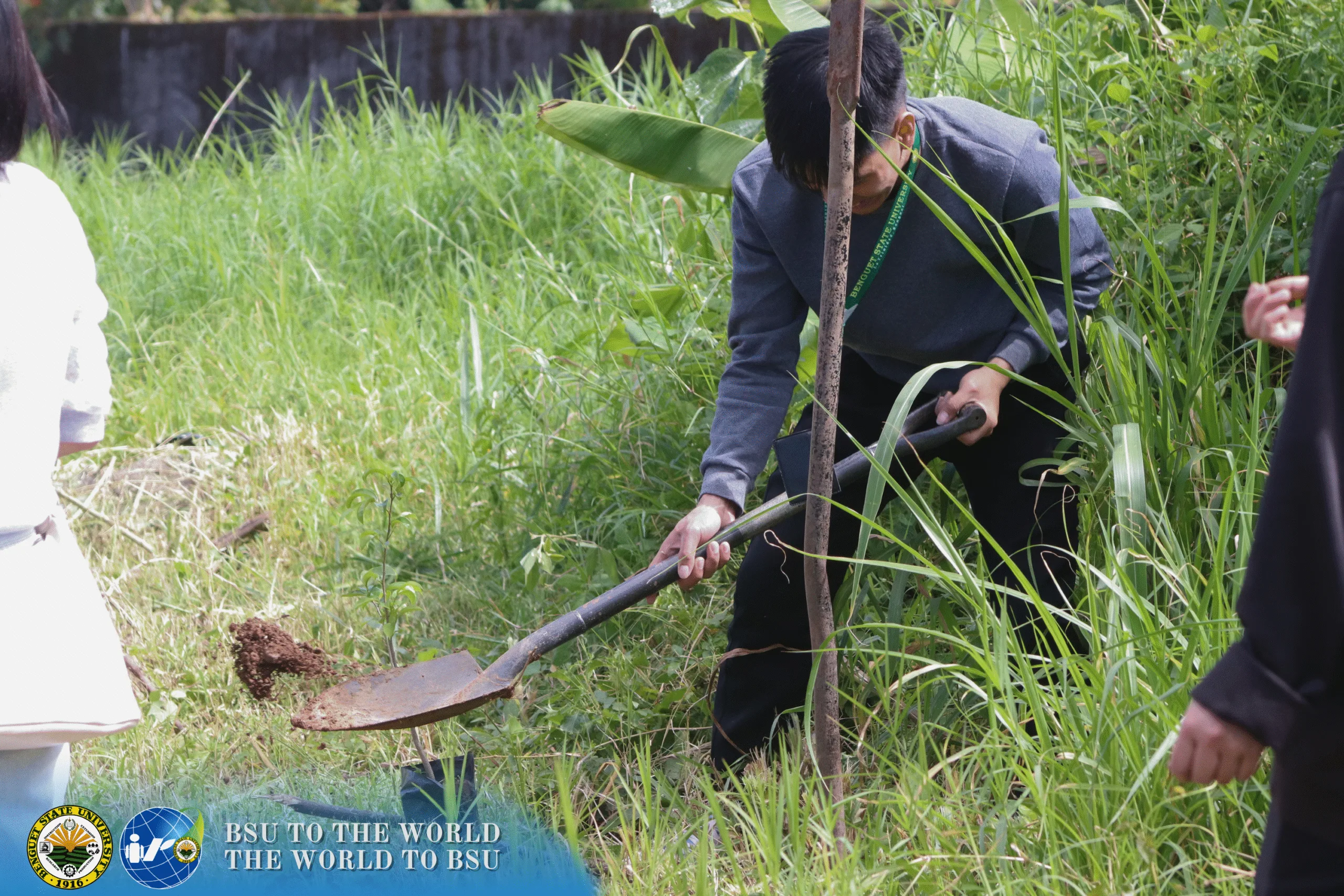 Tree Planted! - Fruit Tree Rearing 168 31 scaled