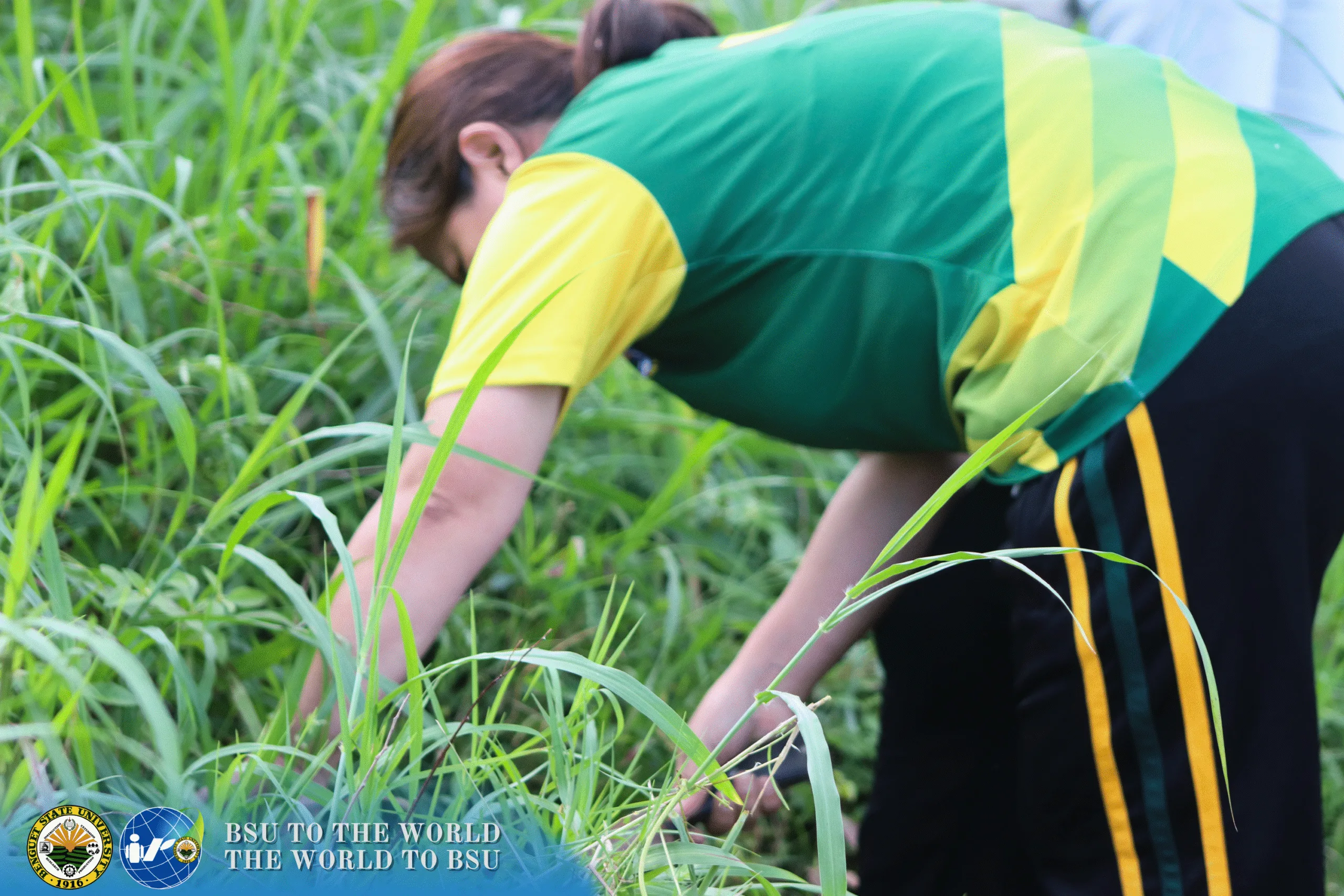 Tree Planted! - Fruit Tree Rearing 165 42 scaled