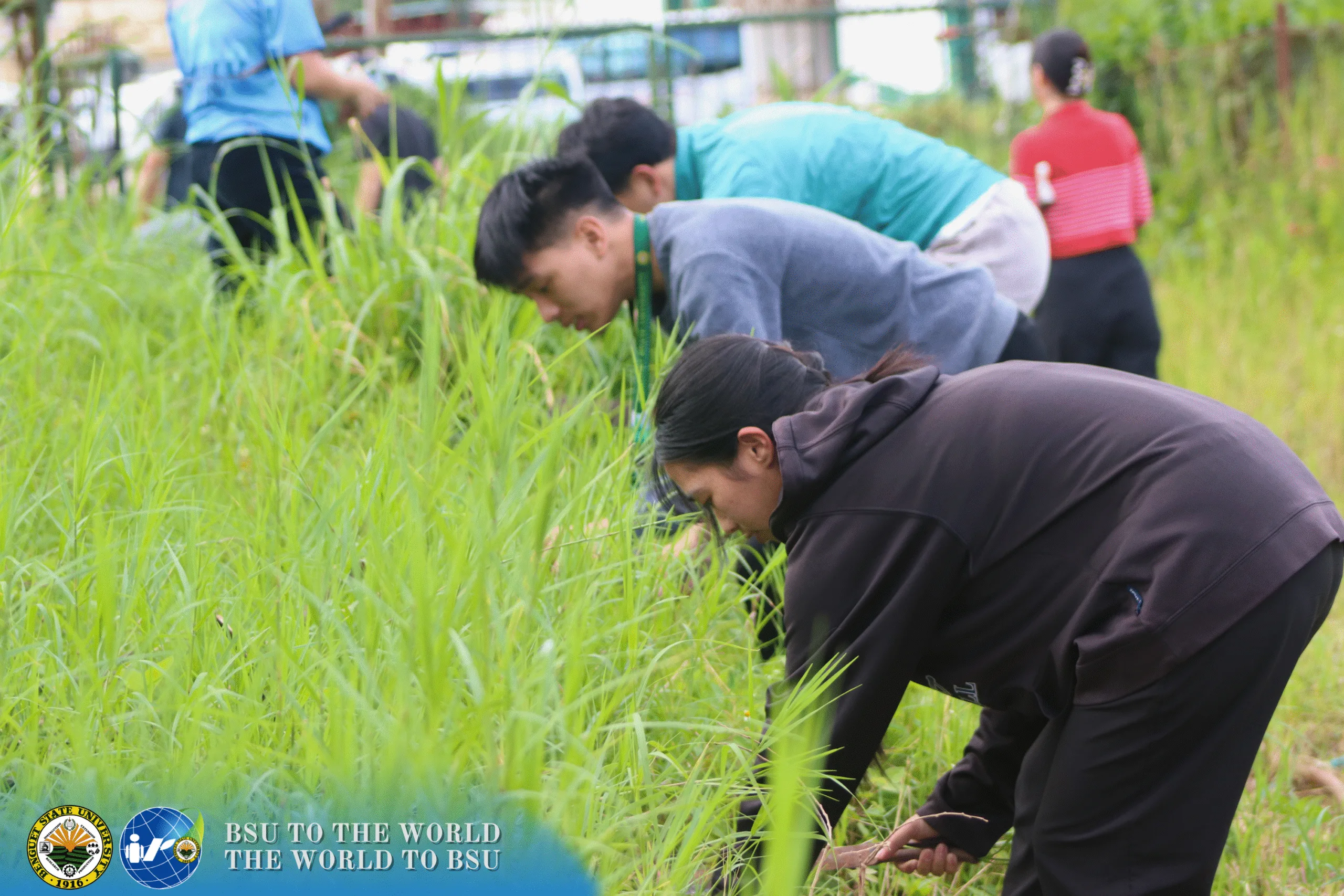 Tree Planted! – Fruit Tree Rearing