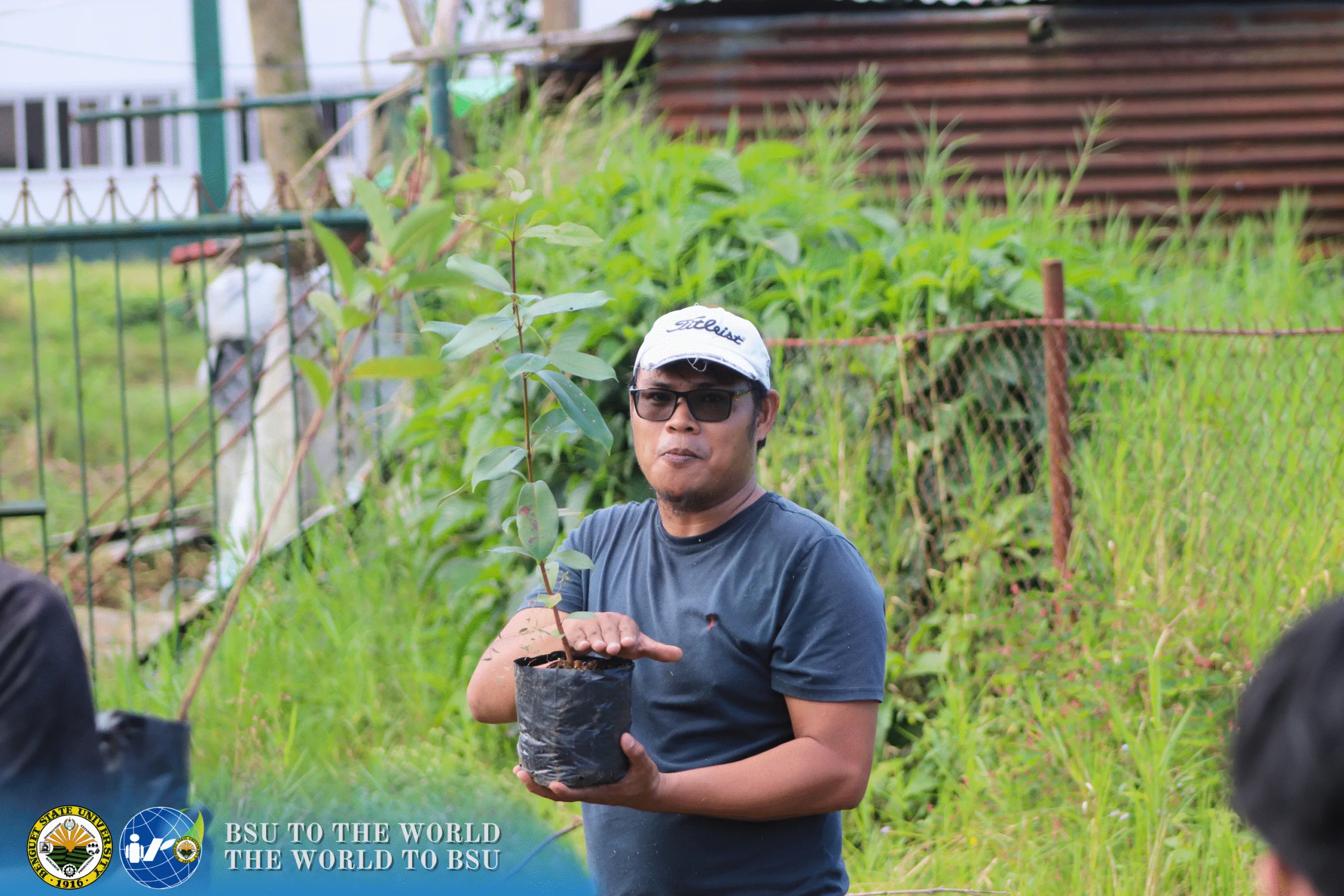 Tree Planted! - Fruit Tree Rearing 175 8 1 scaled