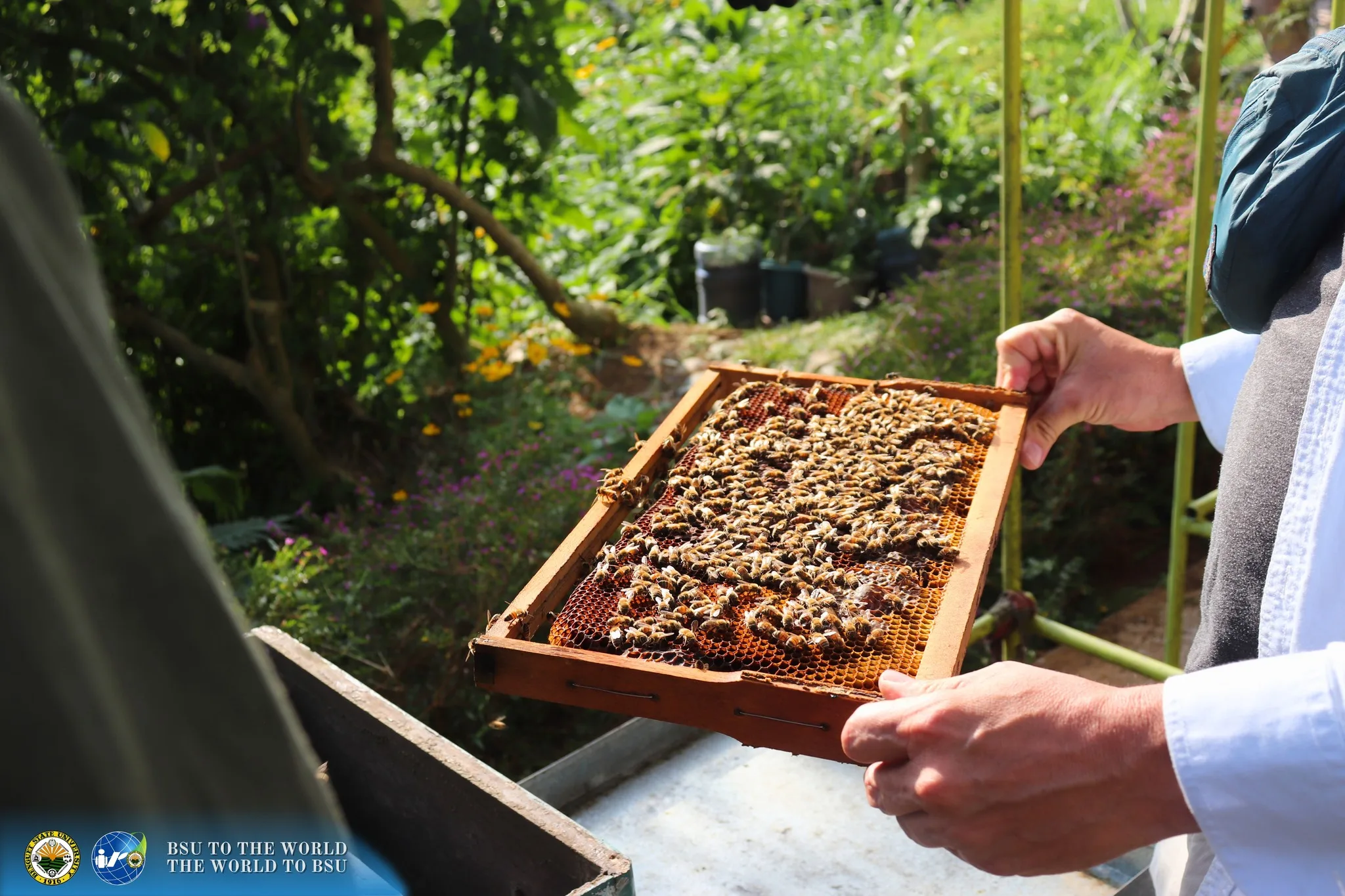 WARM WELCOME – Representative from Catalyste+ Canada and DMMMSU NARTDI