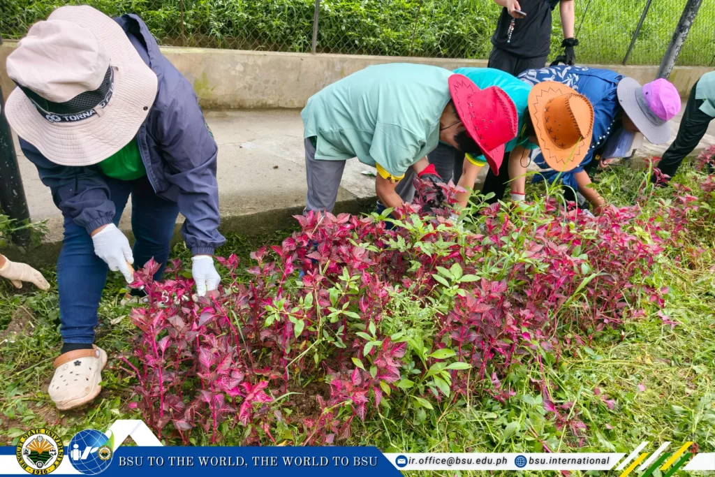 Tree Planting and Rearing – IRO and JICA Volunteer Join the BSU Community in Campus Greening Activity