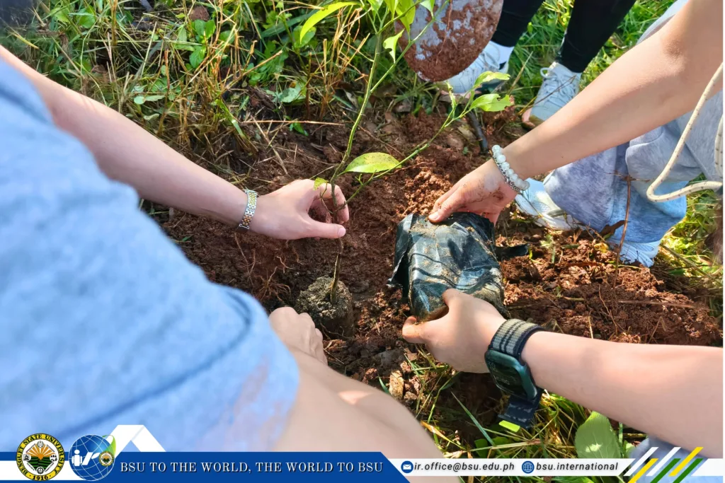 BSU Plants and Cares for Fruit Trees in Celebration of World Food Day